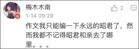 纽约高中中文试卷流出 中国网友自称学到假中文28