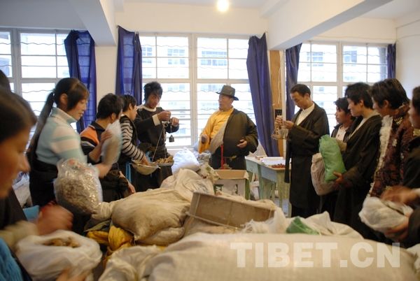 西藏青年就业创业行动帮扶拓宽就业渠道1