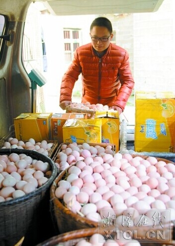 研究生变“鸡蛋哥” 每天卖2万枚土鸡蛋1