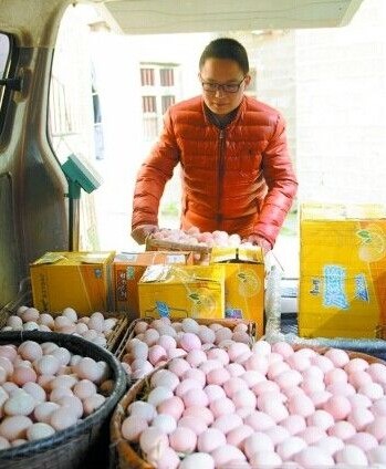 研究生变“鸡蛋哥”每天卖2万枚土鸡蛋1