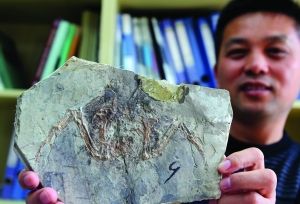 南京大学科学家发现恐龙死亡之谜:火山爆发所致-中国教育1