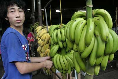 乙烯利事件致海南香蕉滞销，专家称乙烯利无害【图】[1]1