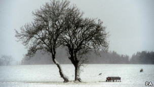 2012英国:受寒流袭击 英国气温骤降1