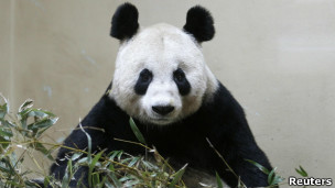 英媒2012:苏格兰《熊猫组曲》周末首演1