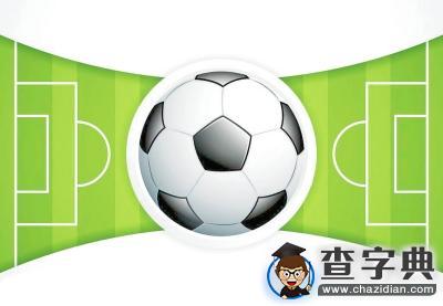 郑州发展体育来真的 5年后半数中小学要有足球场1