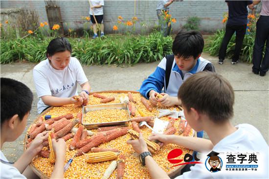 学农教育：北京教委为教育供给侧改革播下金种子6