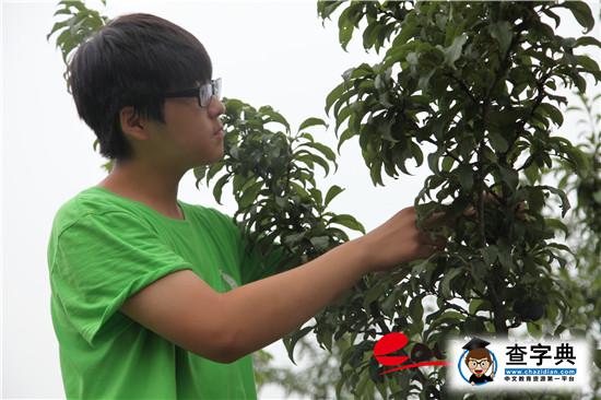 学农教育：北京教委为教育供给侧改革播下金种子1