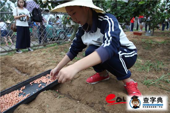 学农教育：北京教委为教育供给侧改革播下金种子3