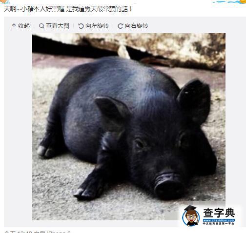 罗志祥自称被人嫌黑 晒黑猪图片遭网友调侃1